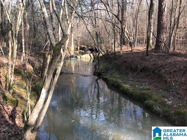 3111 Jackson Road, Unit 75 ACRES Pinson, AL 35126 - Photo 12 of 16