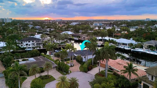 a view of a garden with a palm trees