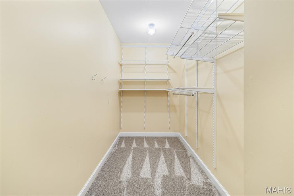 401 Jasper Road Festus, MO 63028 - Photo 40 of 74