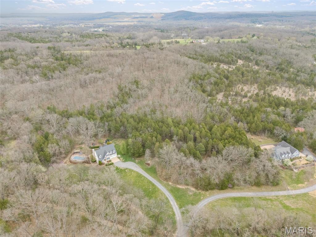 401 Jasper Road Festus, MO 63028 - Photo 57 of 74