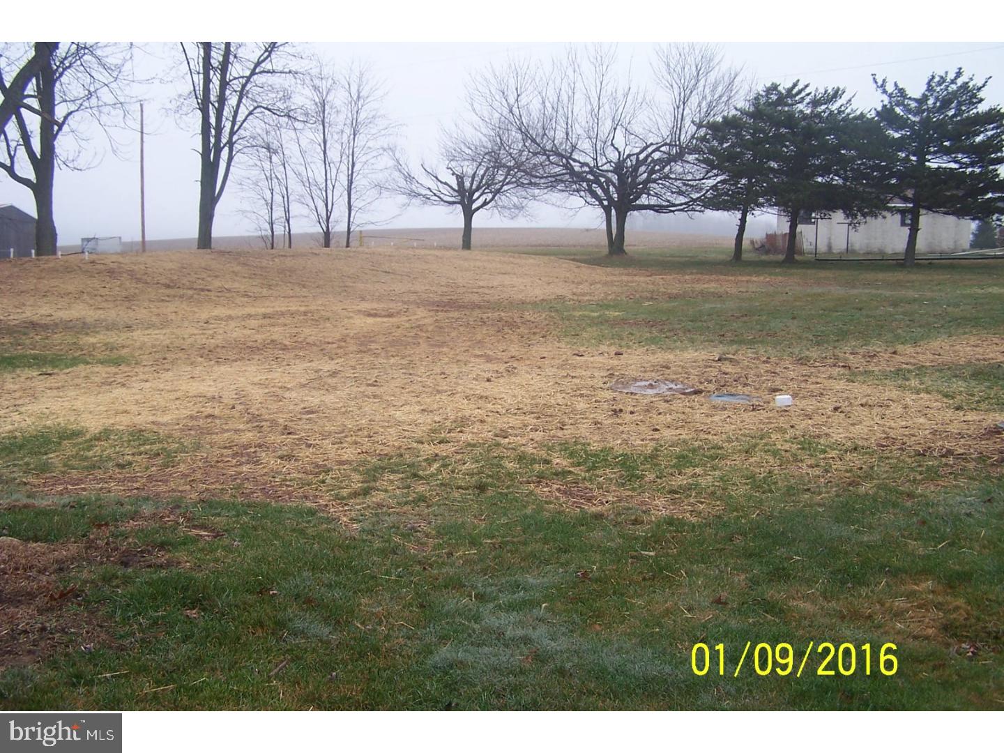 554 Tuscarora Park Road Barnesville, PA 18214 - Photo 13 of 14 Back Yard