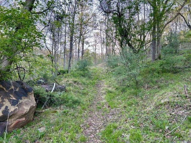 5.383-ac Falls Branch Road, Unit ROUTE 152 Lavalette, WV 25535 - Photo 4 of 9 Gallery Image 4