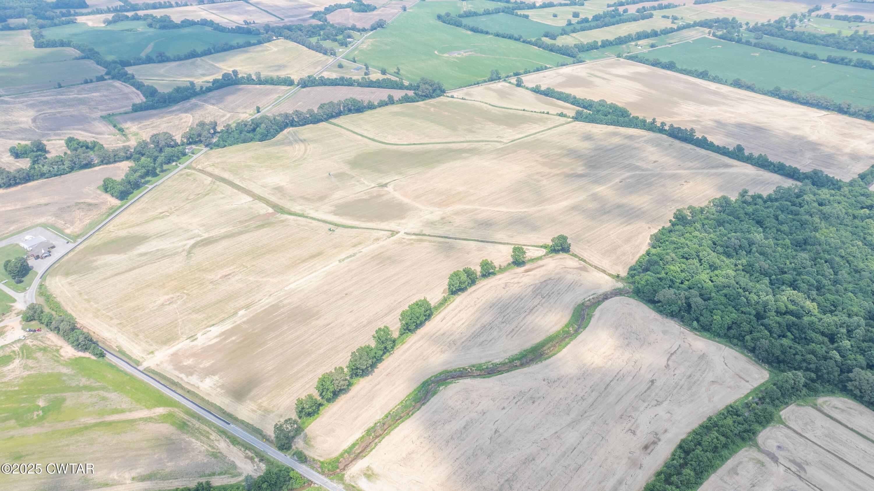 0 Forked Deer Road Brownsville, TN 38012 - Photo 5 of 7 Forked Deer drone6