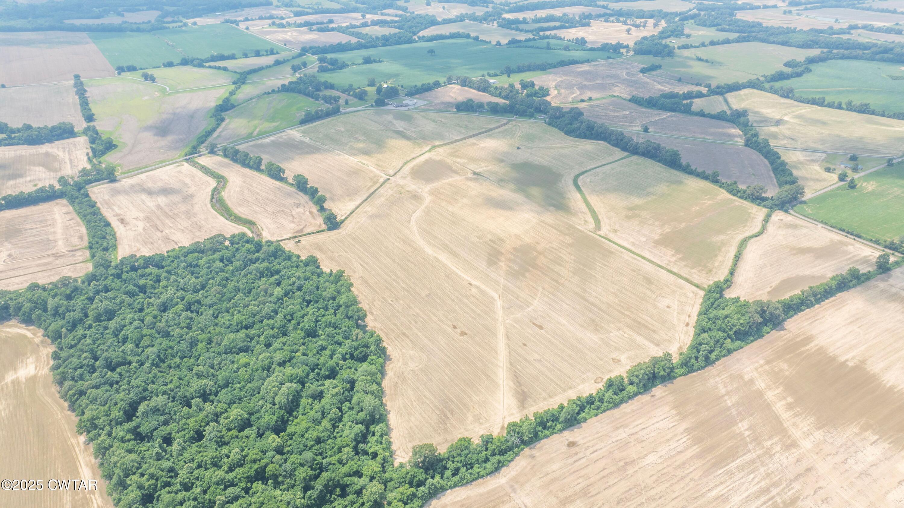 0 Forked Deer Road Brownsville, TN 38012 - Photo 6 of 7 Forked Deer drone5