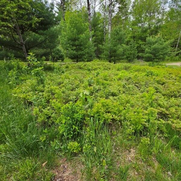 515 Dodlin Road Enfield, ME 04493 - Photo 51 of 74 515 Dodlin Road