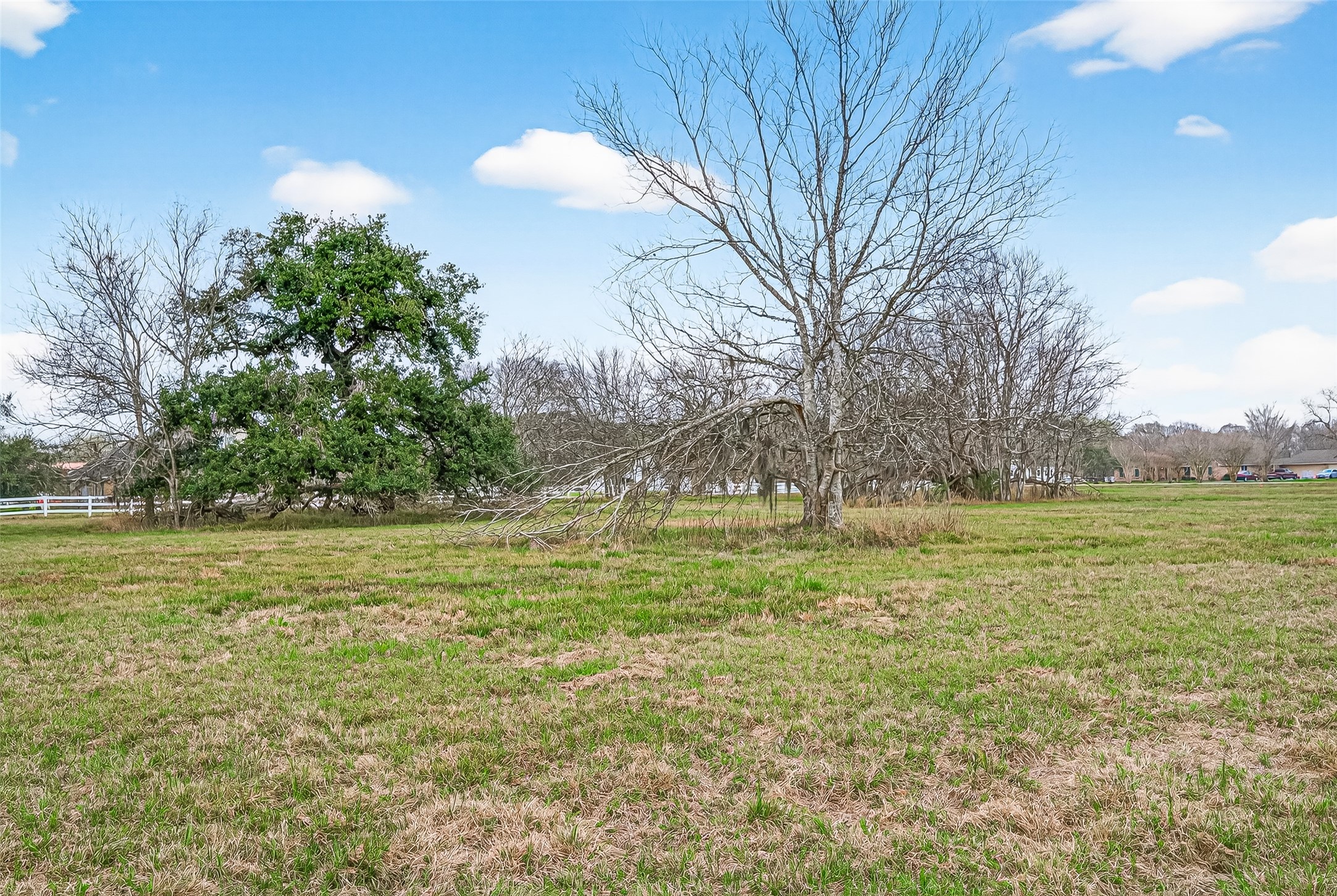 16310 Sun Valley Lane Rosharon, TX 77583 - Photo 4 of 9 a view of outdoor space and yard