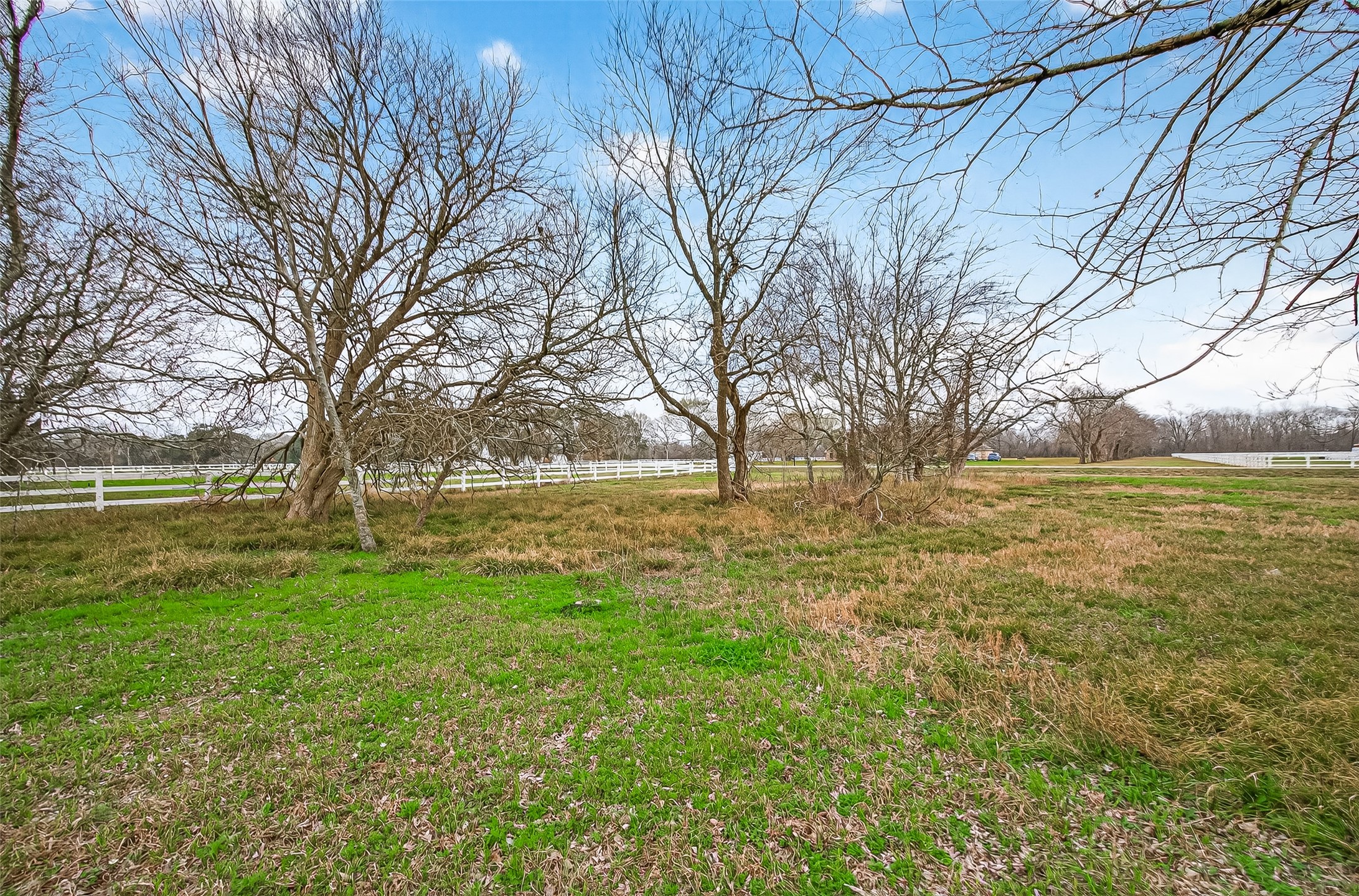 16310 Sun Valley Lane Rosharon, TX 77583 - Photo 6 of 9 a view of swimming pool with yard and tree in front of it