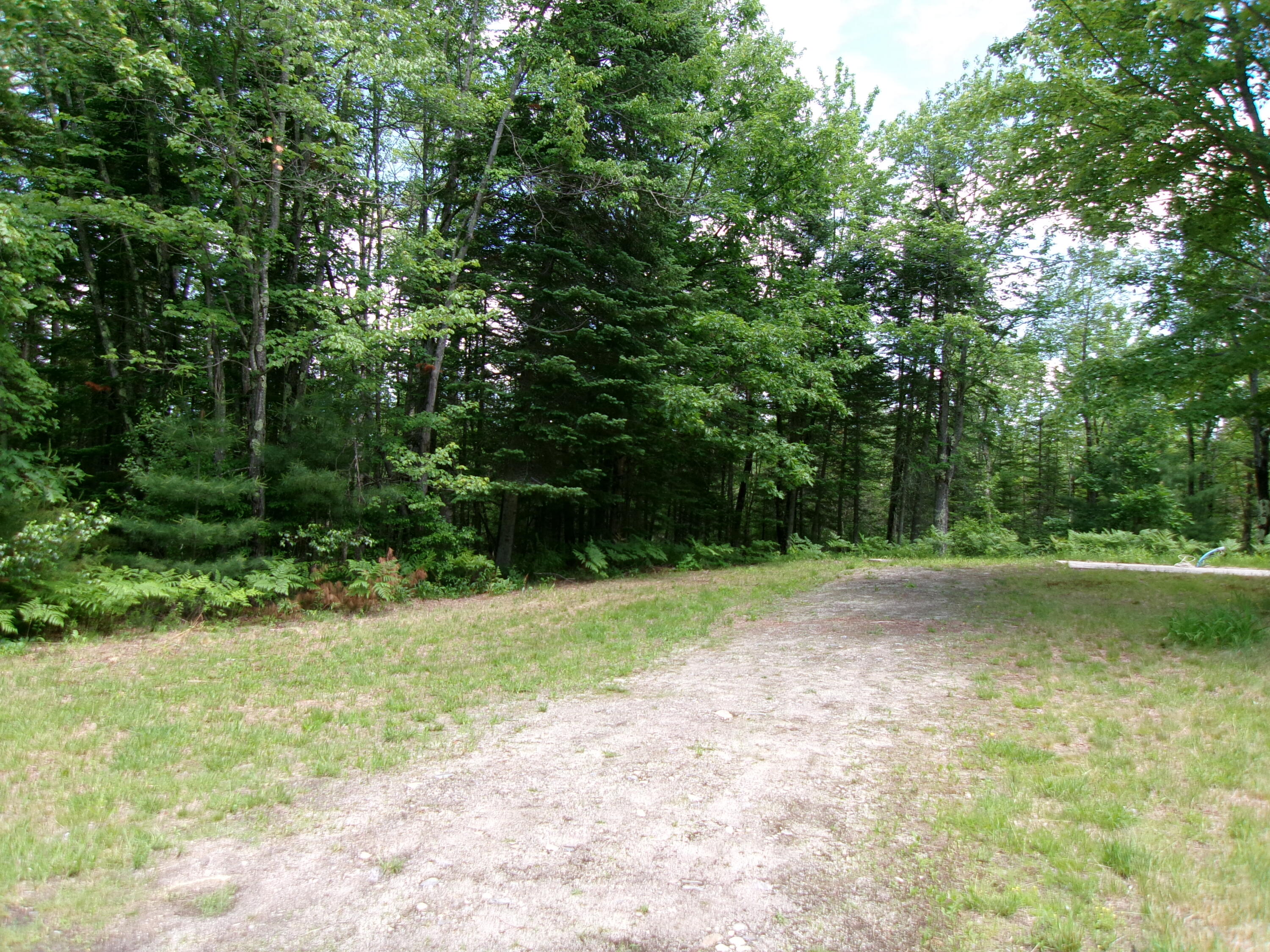 212 Mechanic Falls Road Poland, ME 04274 - Photo 5 of 5 Lawn & Wooded
