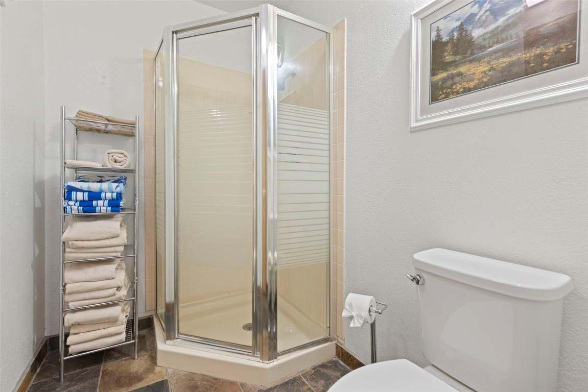 570 Bills Ranch Road, Unit 325 Frisco, CO 80443 - Photo 23 of 30 a bathroom with a toilet and a shower