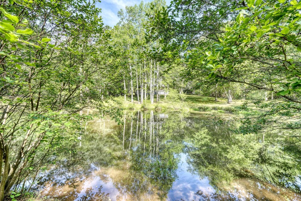 1493 Greasy Creek Road Brasstown, NC 28902 - Photo 6 of 51