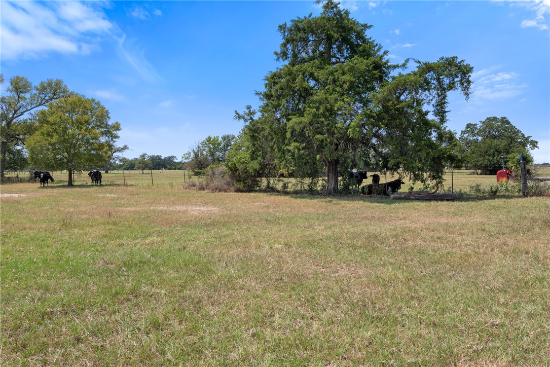 4796 Britten Road Bryan, TX 77807 - Photo 11 of 41 a view of dirt field with trees in the background