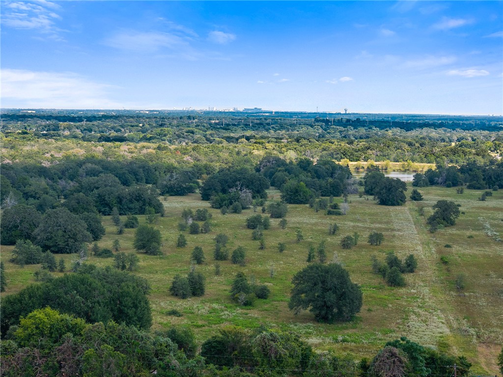 4796 Britten Road Bryan, TX 77807 - Photo 6 of 41 Texas A&M in the distance