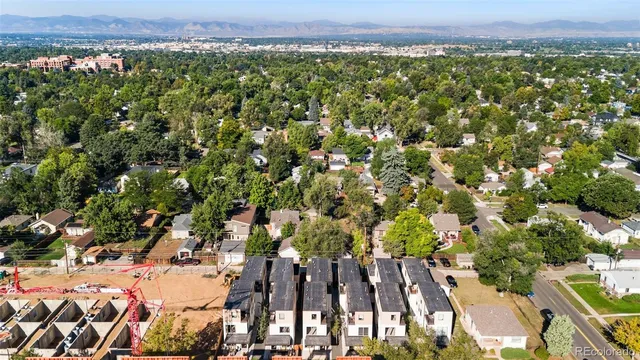 a view of a large yard with large trees