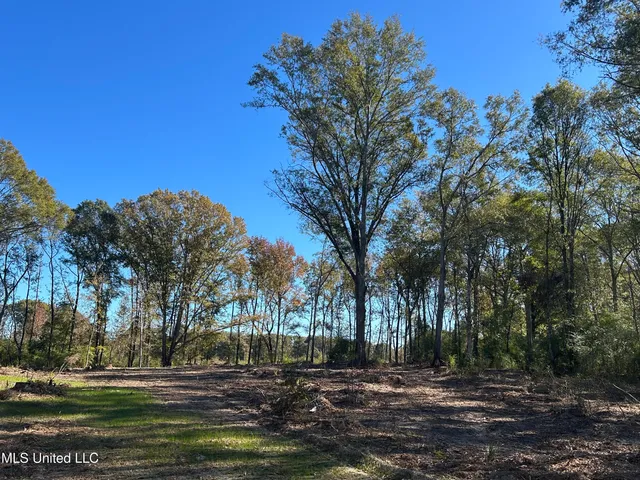 $67,500 | No Warren Cook Road, Mendenhall, MS 39114