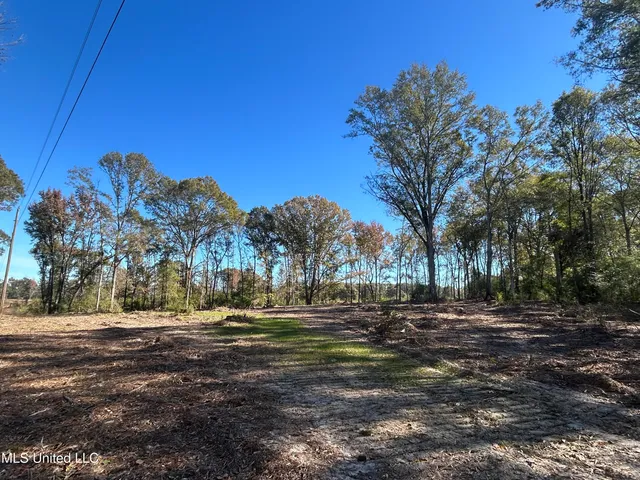 $67,500 | No Warren Cook Road, Mendenhall, MS 39114