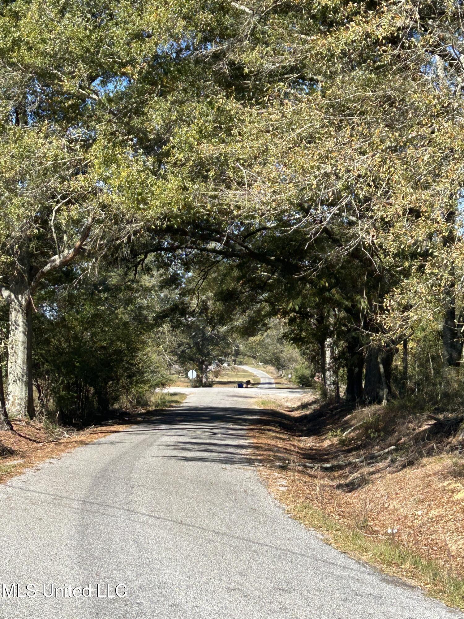 No Warren Cook Road Mendenhall, MS 39114 - Photo 5 of 8 Sim-Cook-7.5-WCrd