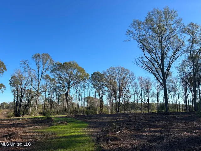 $67,500 | No Warren Cook Road, Mendenhall, MS 39114