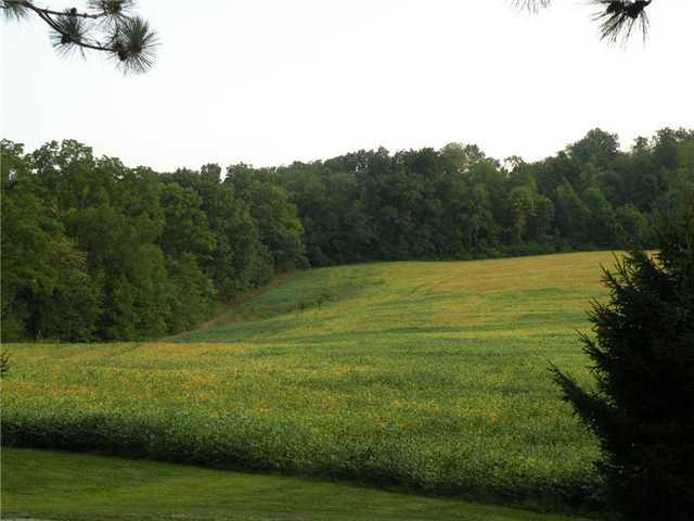 4564 Byers Road Perrysville, OH 44864 - Photo 6 of 25