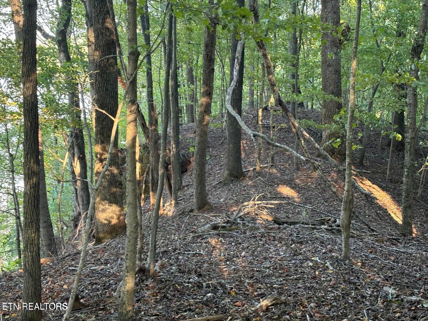 2050 Jones Bend Road Louisville, TN 37777 - Photo 24 of 42 20241008200553858220000000-o
