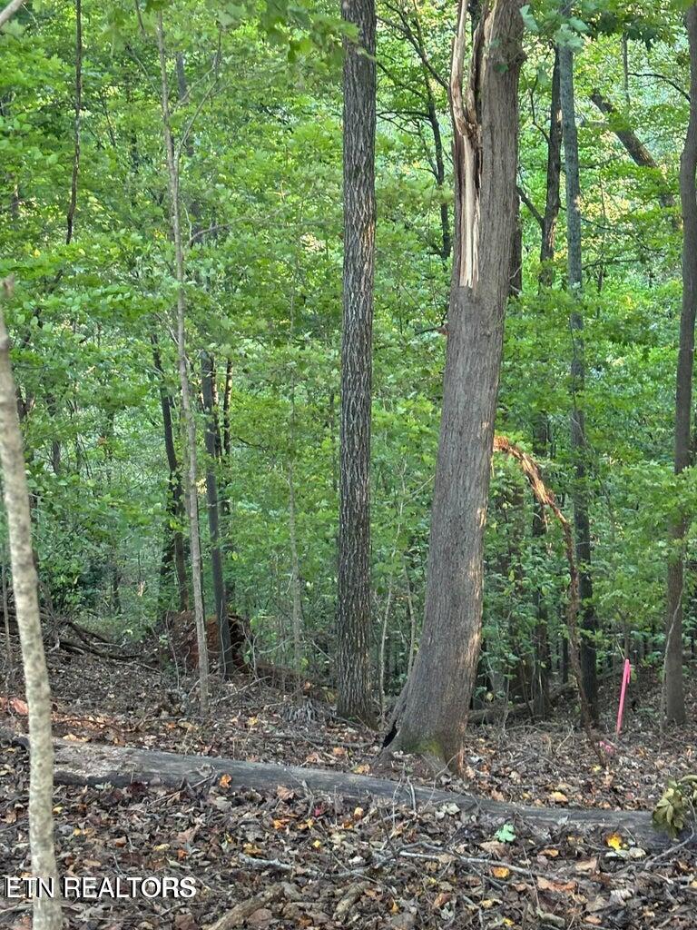 2050 Jones Bend Road Louisville, TN 37777 - Photo 25 of 42 20241008200556789259000000-o