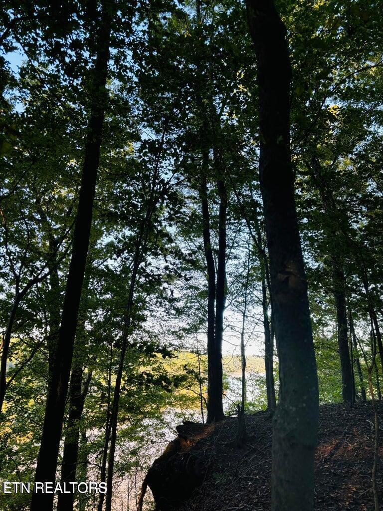 2050 Jones Bend Road Louisville, TN 37777 - Photo 28 of 42 20241008200616133233000000-o