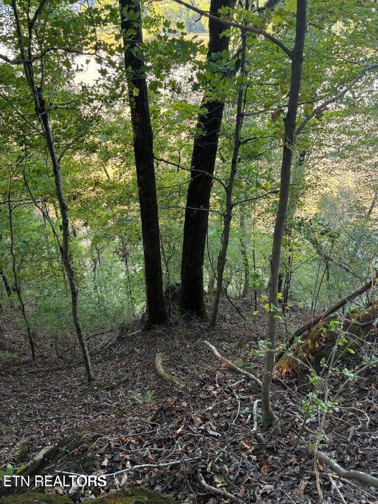 2050 Jones Bend Road Louisville, TN 37777 - Photo 29 of 42 20241008200626924210000000-o