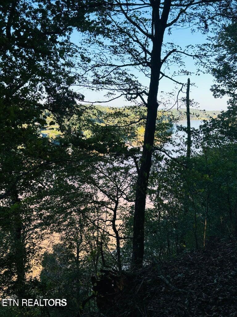 2050 Jones Bend Road Louisville, TN 37777 - Photo 30 of 42 20241008200631764198000000-o