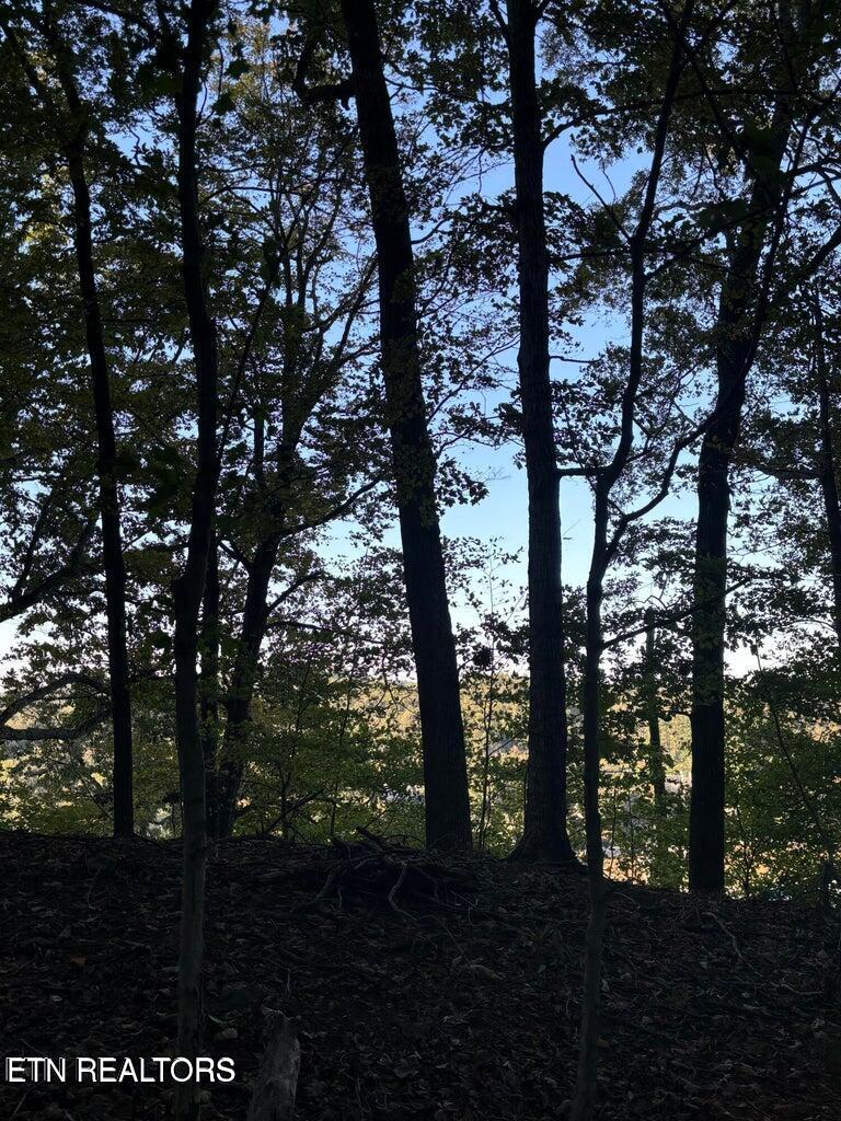 2050 Jones Bend Road Louisville, TN 37777 - Photo 32 of 42 20241008200648375878000000-o