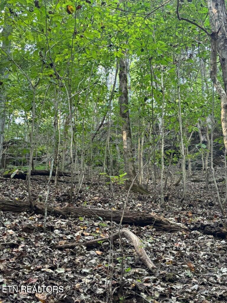 2050 Jones Bend Road Louisville, TN 37777 - Photo 37 of 42 20241008200733230405000000-o