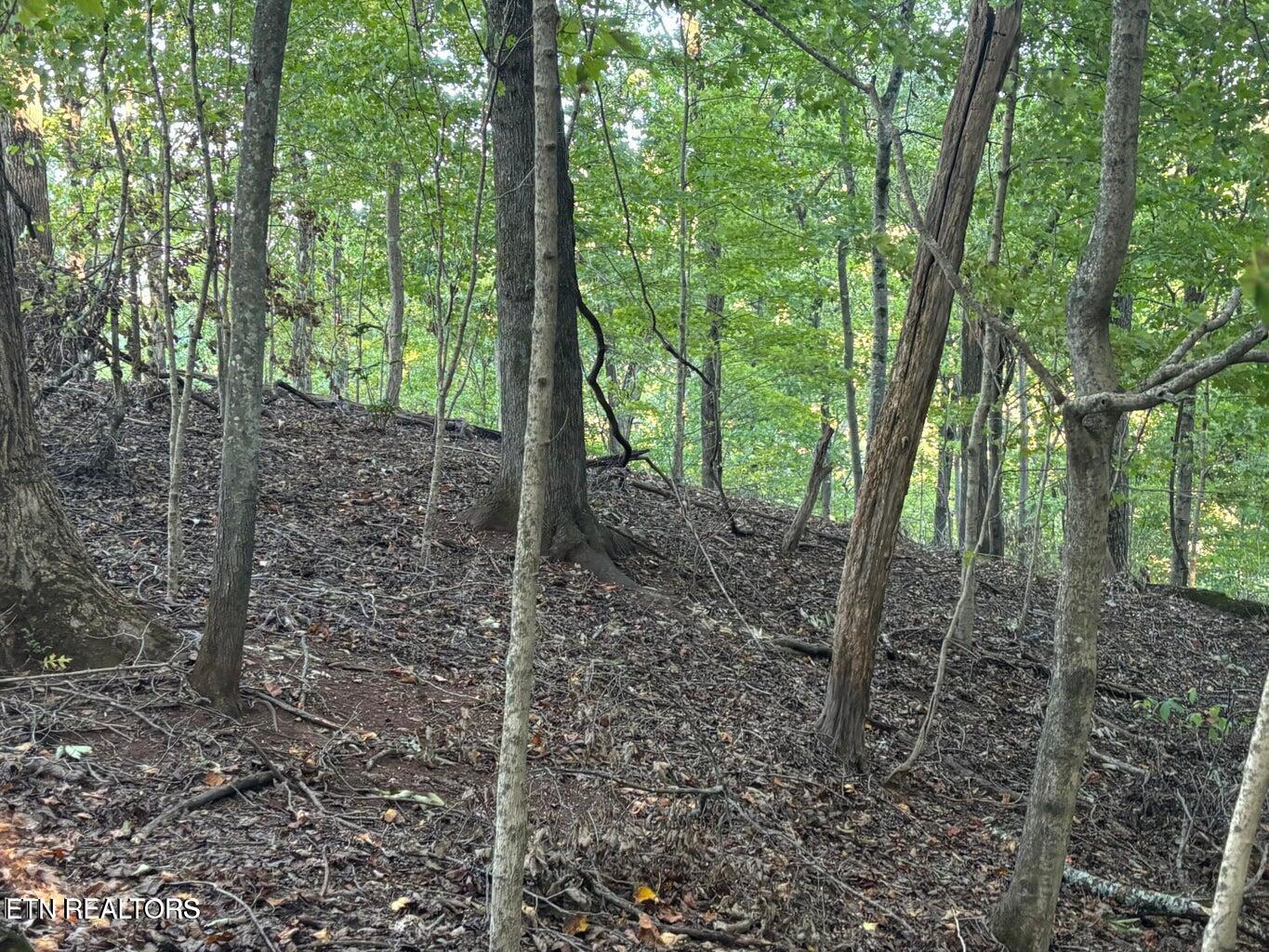 2050 Jones Bend Road Louisville, TN 37777 - Photo 39 of 42 20241008200753326371000000-o