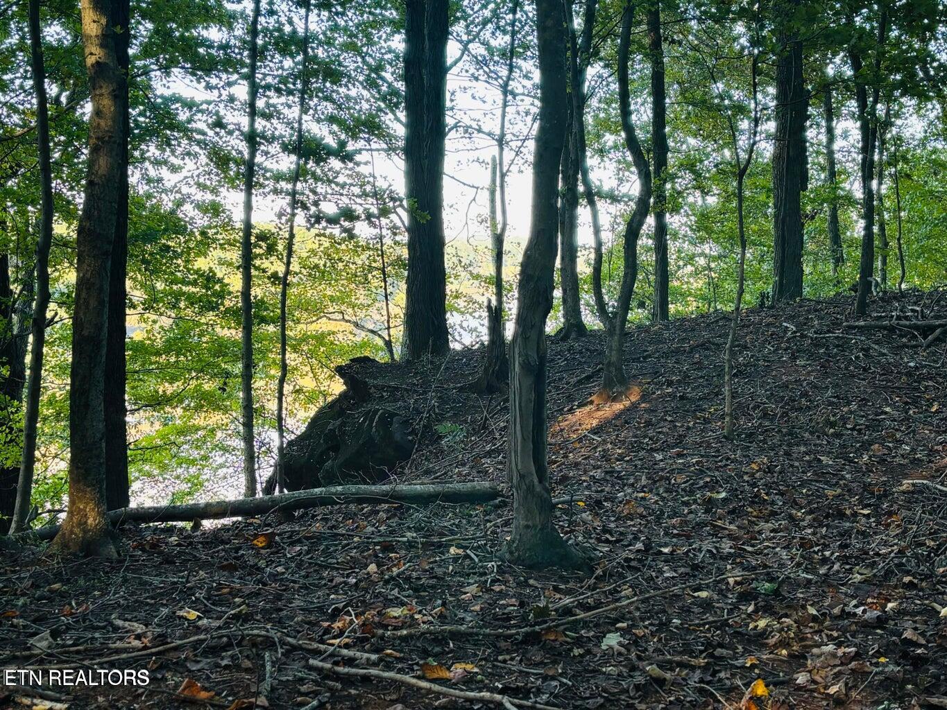 2050 Jones Bend Road Louisville, TN 37777 - Photo 40 of 42 20241008200806043268000000-o