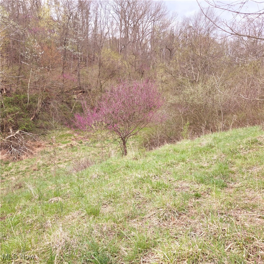 185 Lake Washington Road Parkersburg, WV 26101 - Photo 6 of 16