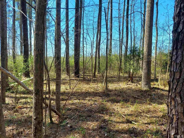 a view of backyard with green space