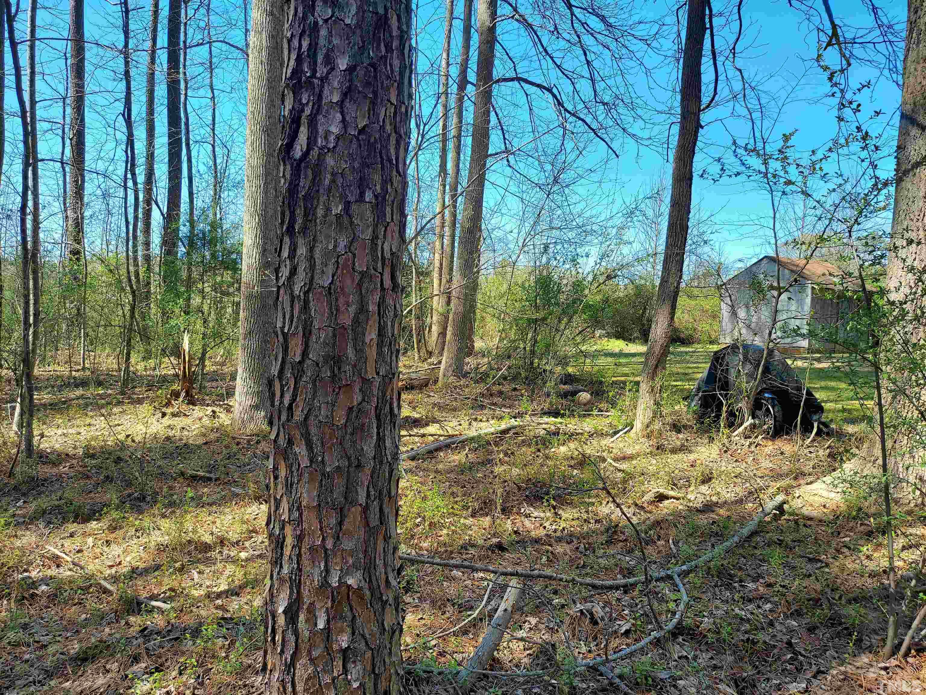 Crestview Road Siler City, NC 27344 - Photo 3 of 9 a view of a backyard