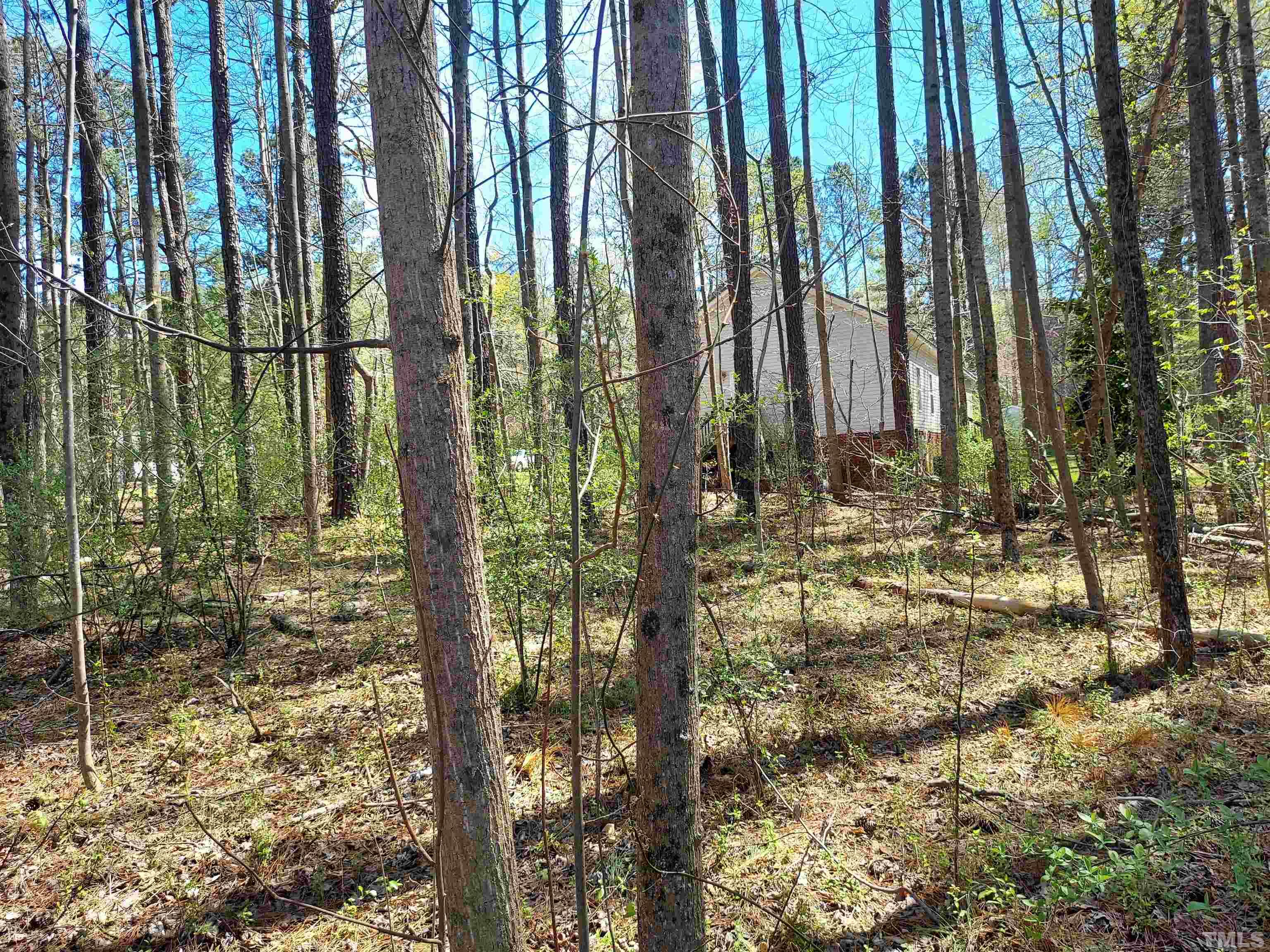 Crestview Road Siler City, NC 27344 - Photo 4 of 9 a view of a garden