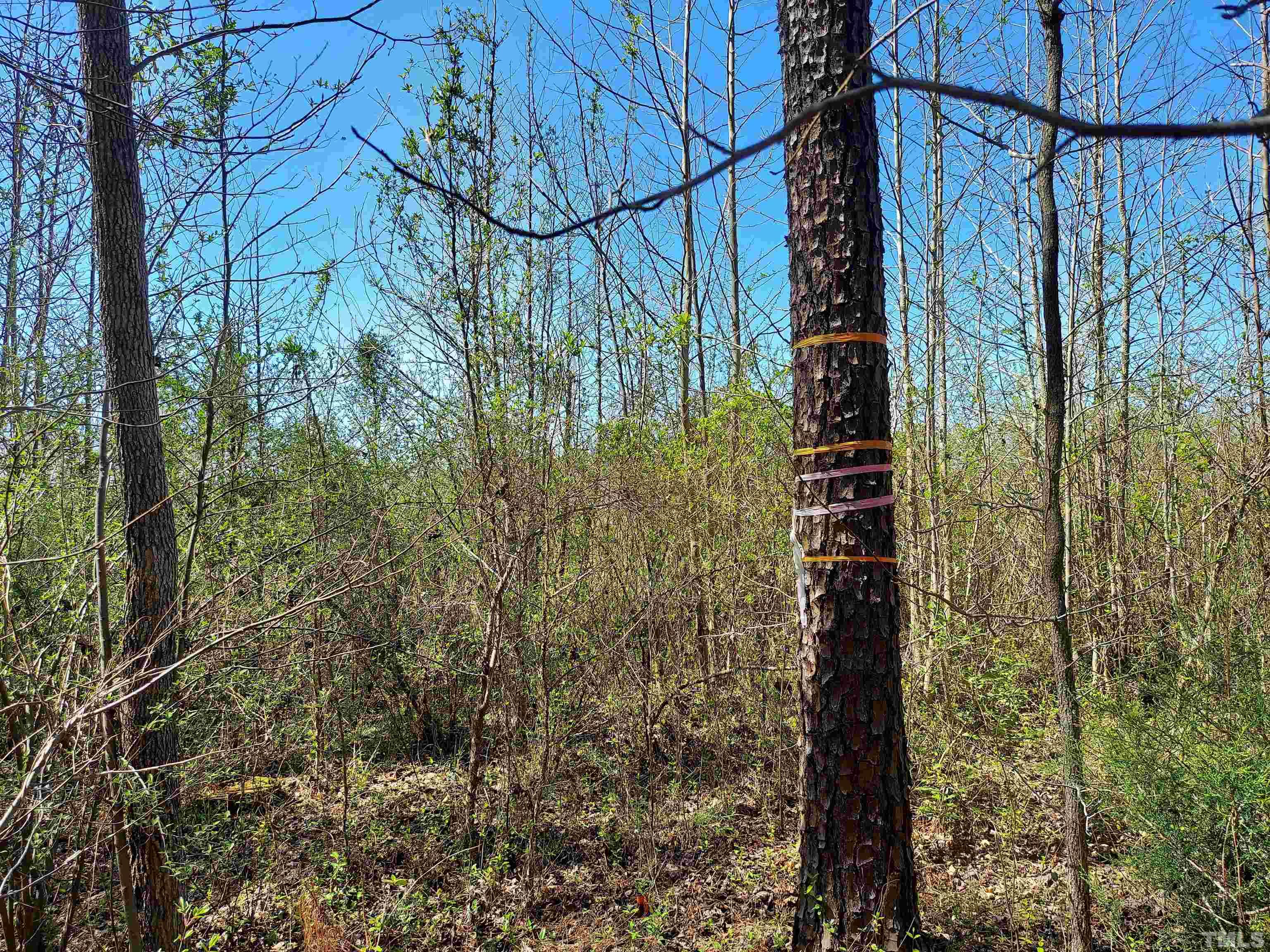 Crestview Road Siler City, NC 27344 - Photo 5 of 9 a view of a yard