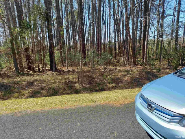 a view of backyard with green space