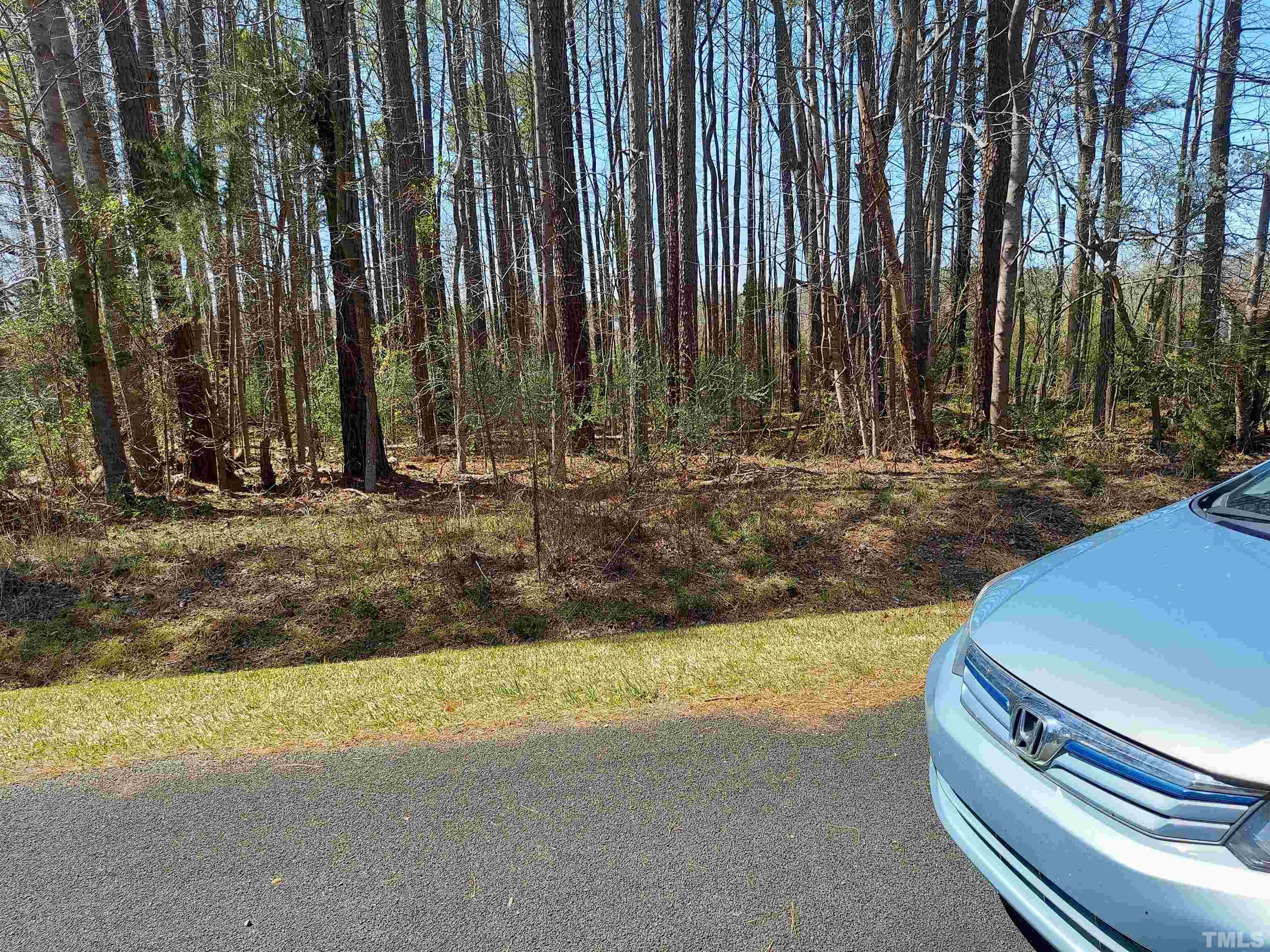 Crestview Road Siler City, NC 27344 - Photo 7 of 9 a view of backyard with green space