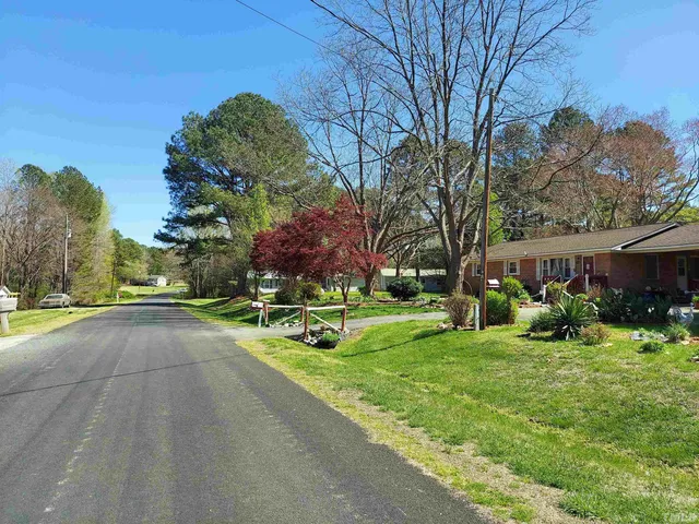 a view of a park with plants and trees