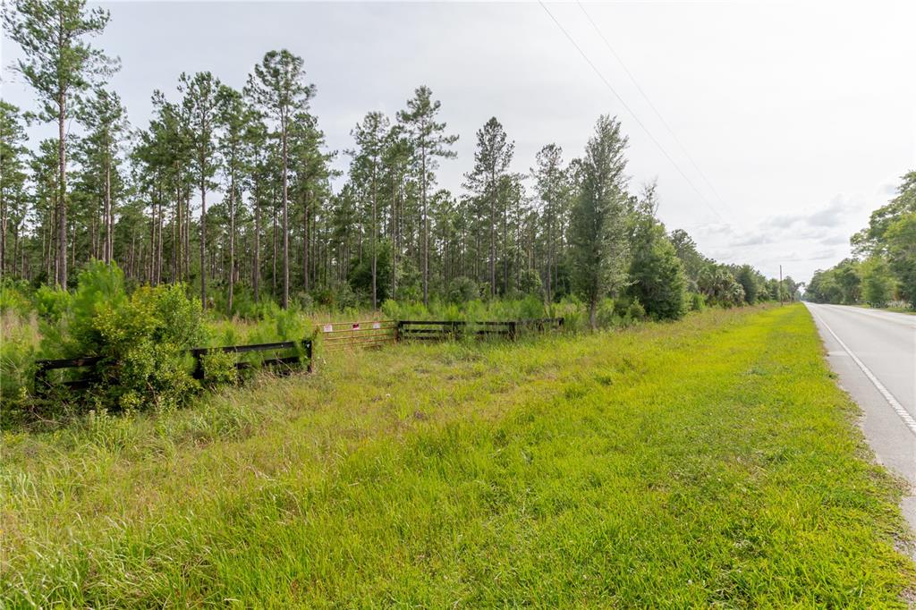 Northeast 90th Street Road Fort McCoy, FL 32134 - Photo 24 of 25