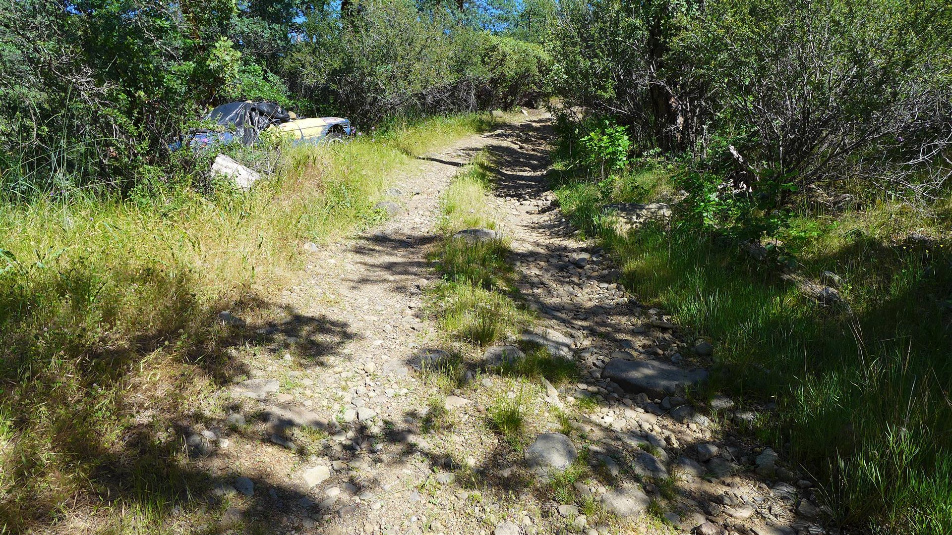 5-ac The Gulch Road Oak Run, CA 96069 - Photo 13 of 15 P1030331