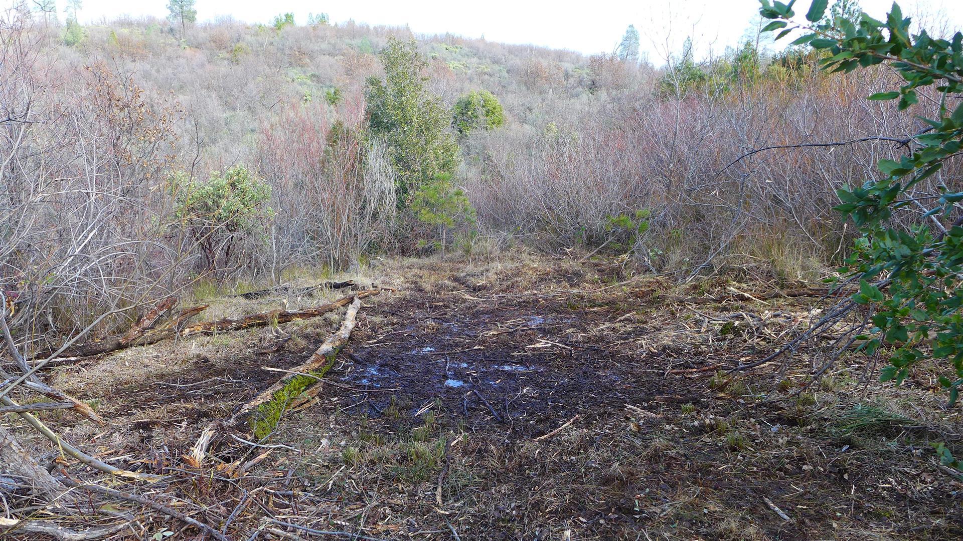 5-ac The Gulch Road Oak Run, CA 96069 - Photo 6 of 15 c