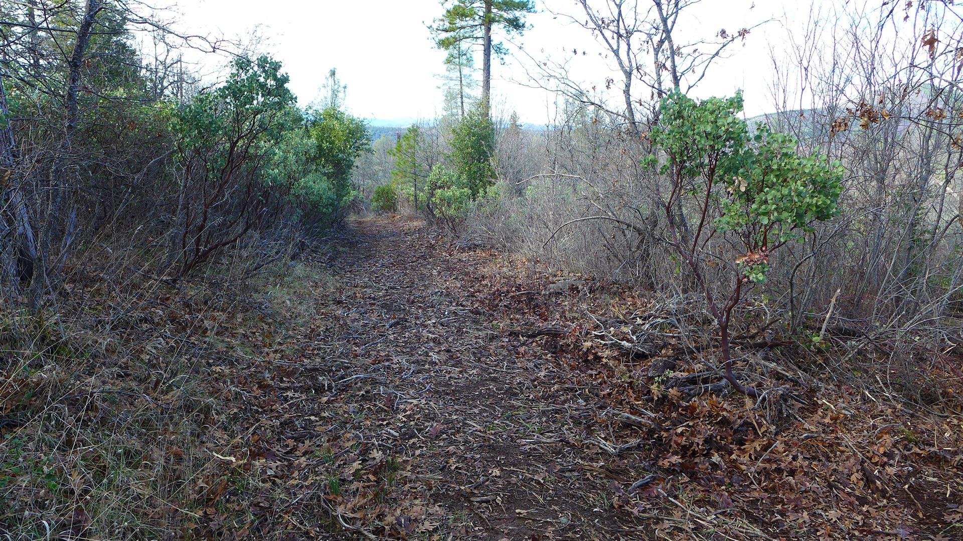 5-ac The Gulch Road Oak Run, CA 96069 - Photo 7 of 15 g