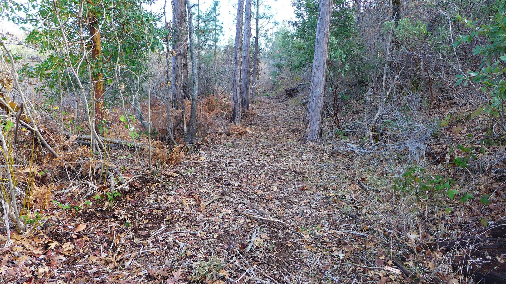 5-ac The Gulch Road Oak Run, CA 96069 - Photo 8 of 15 h