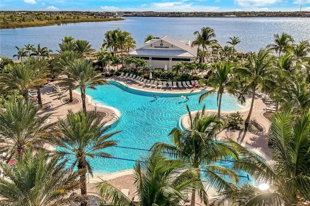 a view of a yard with plants
