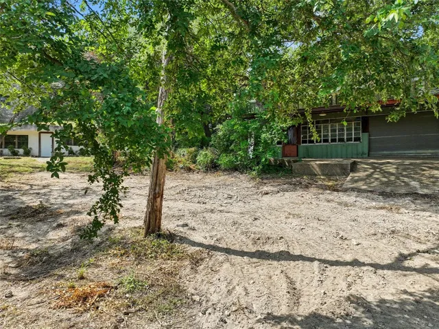 a view of a yard with plants and trees