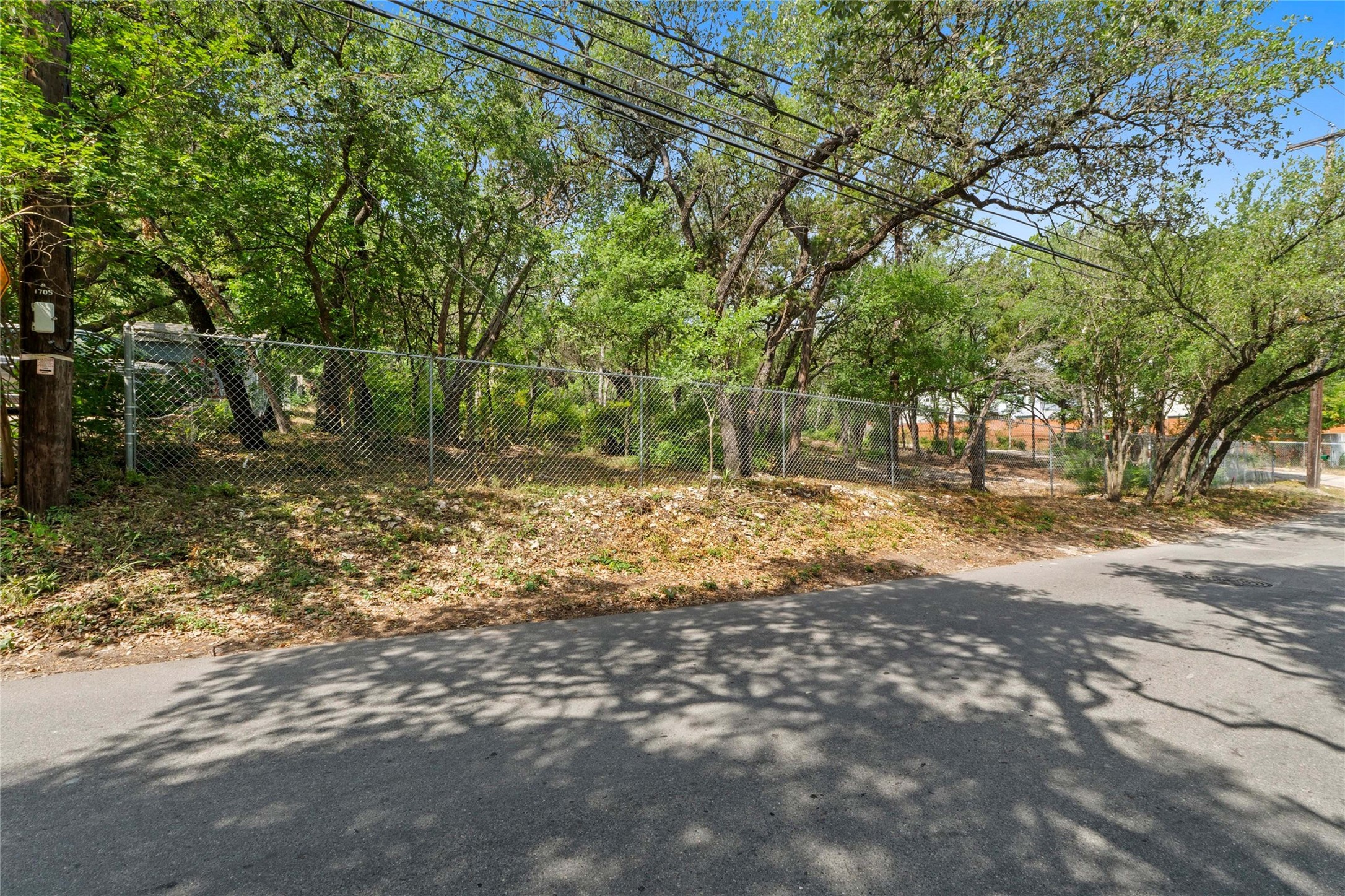 1801 Lightsey Road Austin, TX 78704 - Photo 4 of 12 a backyard of a house with lots of green space