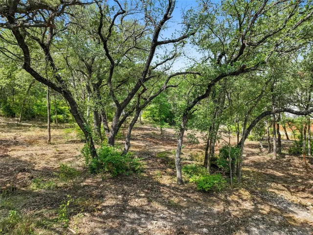 a view of backyard with green space