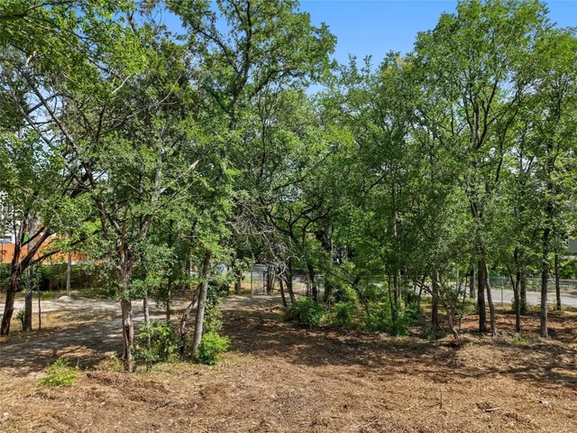 a view of a yard with plants and trees