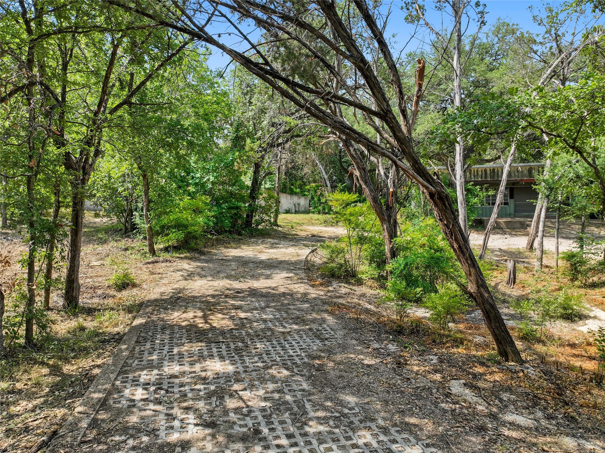 1801 Lightsey Road Austin, TX 78704 - Photo 10 of 12 a view of a forest with trees